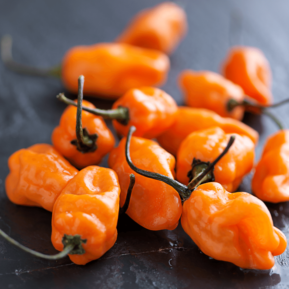 PAPALOTE HABANERO SALSA
