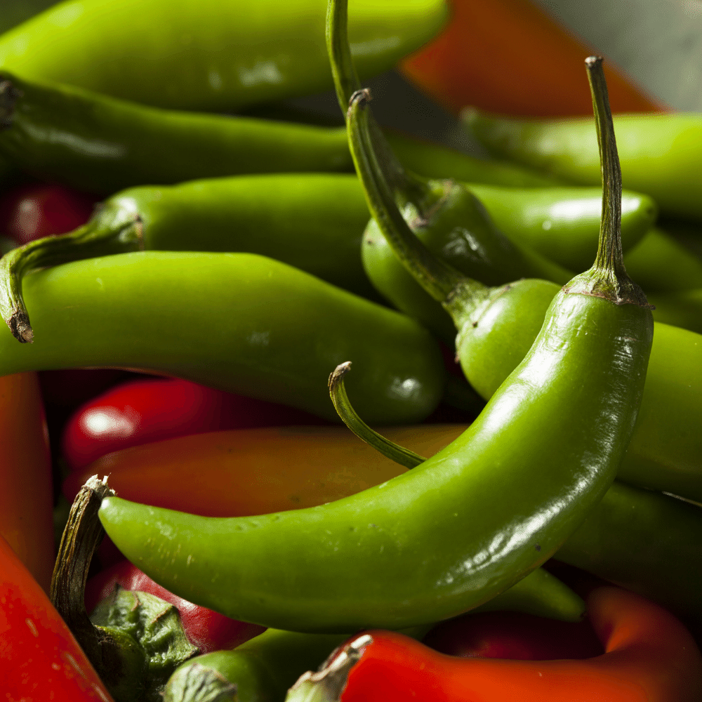 PAPALOTE SALSA SAMPLER 6 PACK